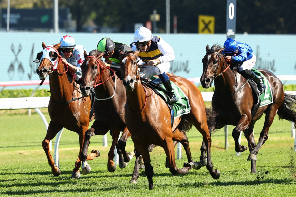 Lady Laguna explodes away in the Canterbury Stakes at Randwick last month.