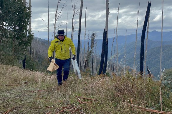 A shovel is found at a search site in Mt Hotham in mid-April.