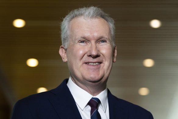 Minister for Employment and Workplace Relations Tony Burke speaks about Qantas this morning. 