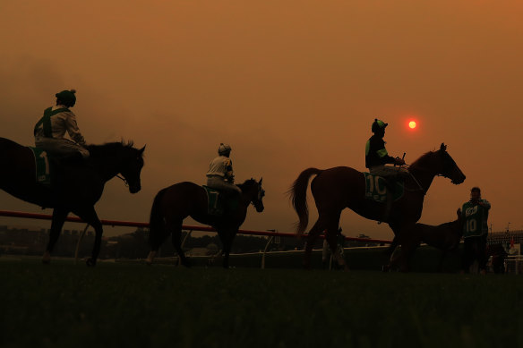 One of Australia's biggest punters is set to abandon local racing over what he considers unfair betting markets.