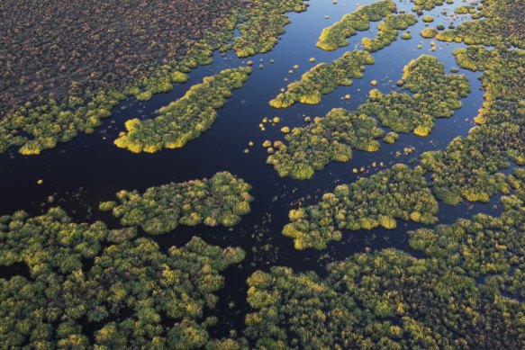 Three wet seasons have led to record inflows into the southern Murray-Darling Basin.