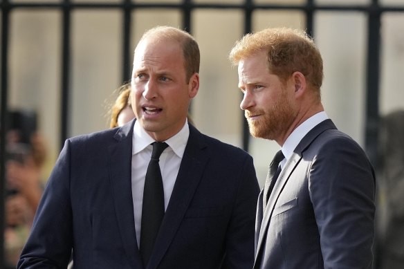 Prince William and Prince Harry.