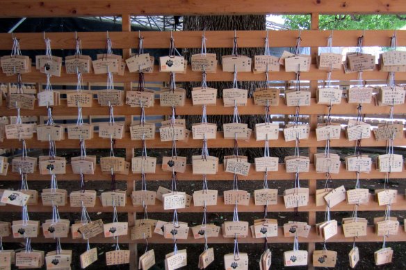 The wishing tree at the Meiji Jingu shrine in Tokyo.