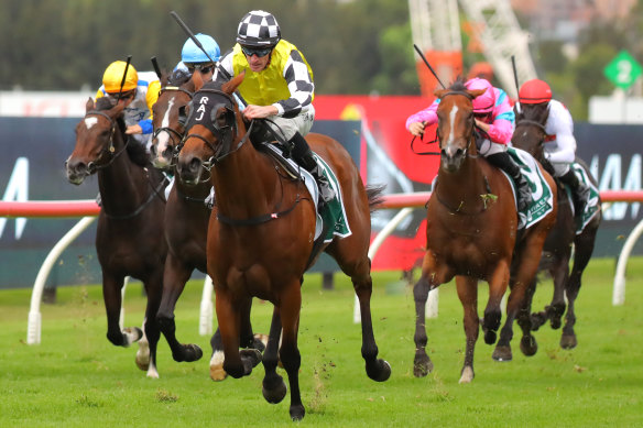 Prowess proved a class above in Saturday’s Vinery Stud Stakes.