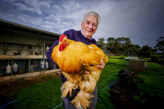 Alf Woods at his Greenvale property with a 12kg buff cochin rooster.