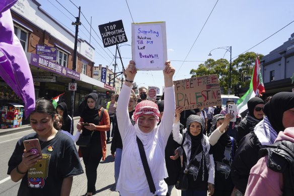Palestinian advocates on Sydney Road on Saturday.
