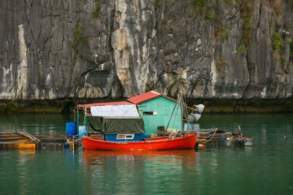 A fish farm in Lan Ha Bay.