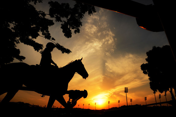 Pre-race trackwork at Kranji racecourse, Singapore.