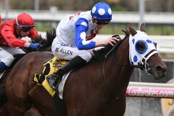 Mr Quickie returned in style, running second to Behemoth in Saturday's group 1 Memsie Stakes.