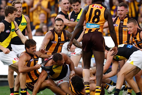 The Hawks and Tigers get into a scrap during their clash at the MCG.
