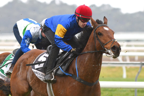 Mark Zahra on board Santa Ana Lane at the Cranbourne trials.