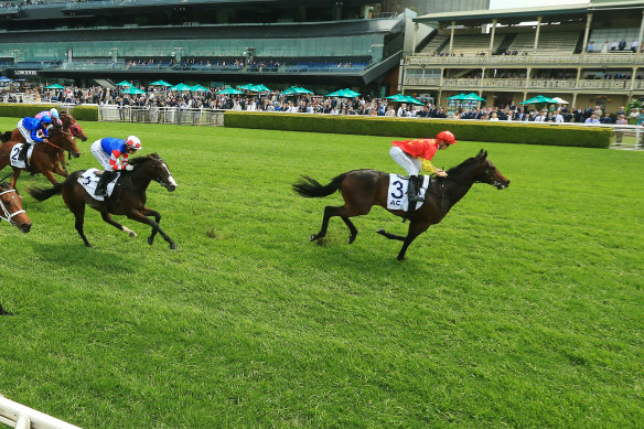 Captivant storms away to win the Victory Vein Stakes at Randwick last year.