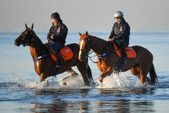 Jamie Richards on his favourite, Melody Belle, with perhaps his best, Te Akau Shark, at the beach in Melbourne during the spring. 