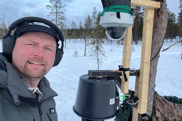 The moose have walked the route for thousands of years, making it easy for the crew to know where to place cameras.