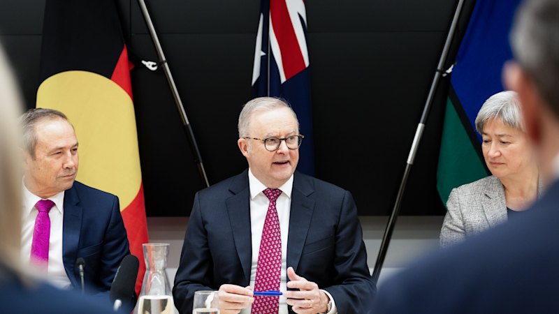 Albanese tells Queensland businesses to embrace AI and avoid worst-case predictions