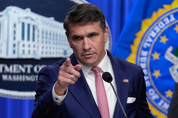 Todd Blanche is under a disciplinary investigation by the state bar of New York despite being acting attorney-general.