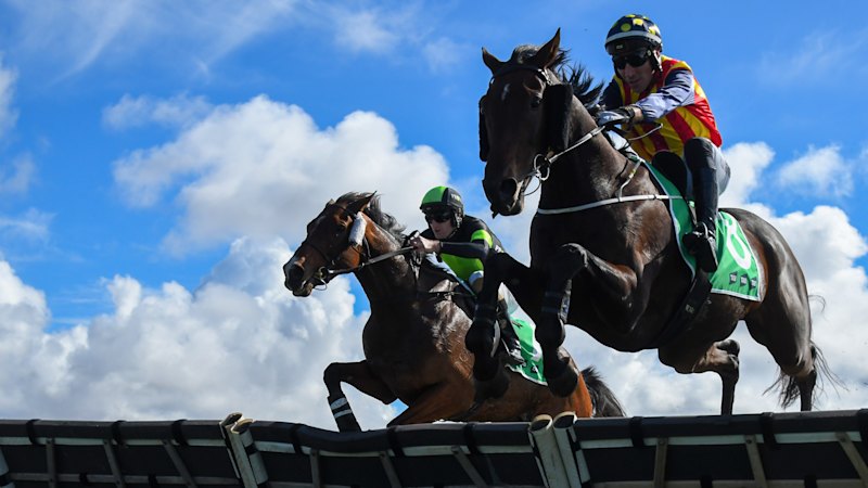 Jumps racing cost taxpayers $1.8m more than it returned