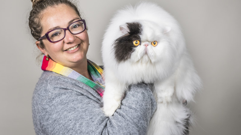 Australian Cat Shows