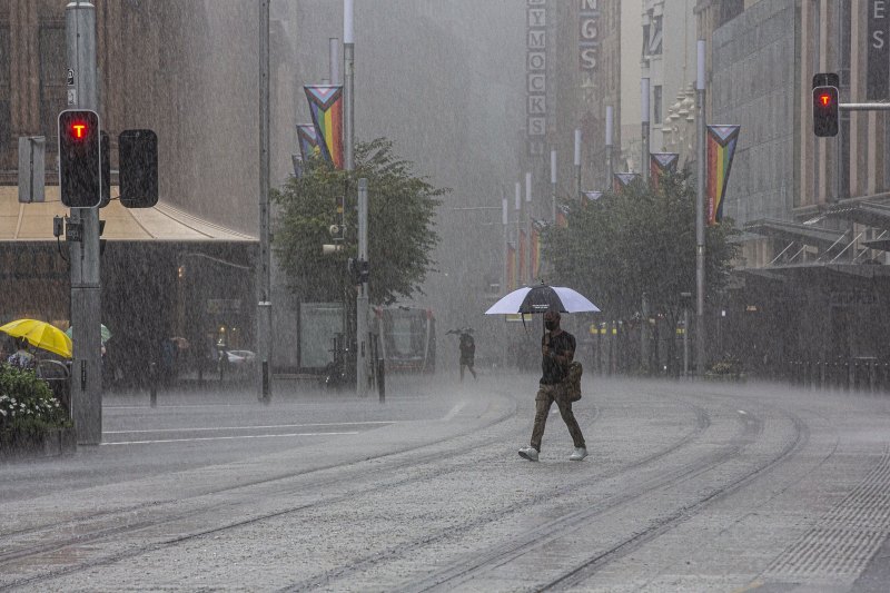 How Sydney’s big wet is seeping into our homes, old and new