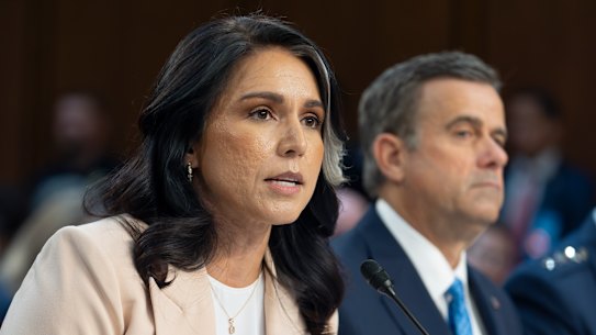 Director of National Intelligence Tulsi Gabbard and CIA director John Ratcliffe were both in the Signal group chat.