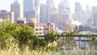 Views across Adam Haddow's planted rooftop to the Sydney CBD.