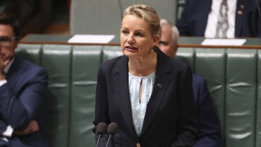 Federal Environment Minister Sussan Ley. 