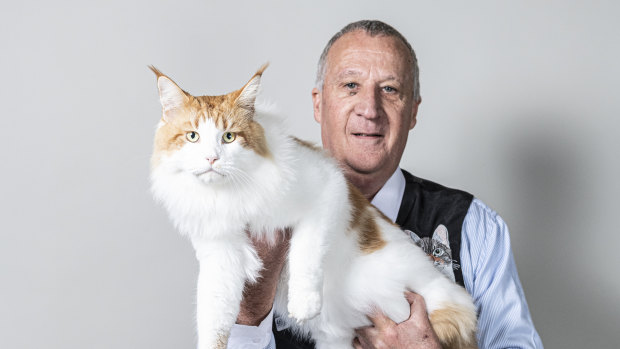 Judge Tony Hurry with a Maine Coon called Icy.