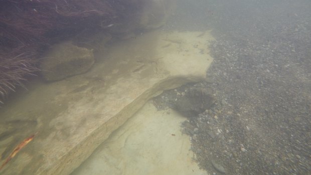 Footage of  moa footprints which the Ottago Museum says is a rare find.