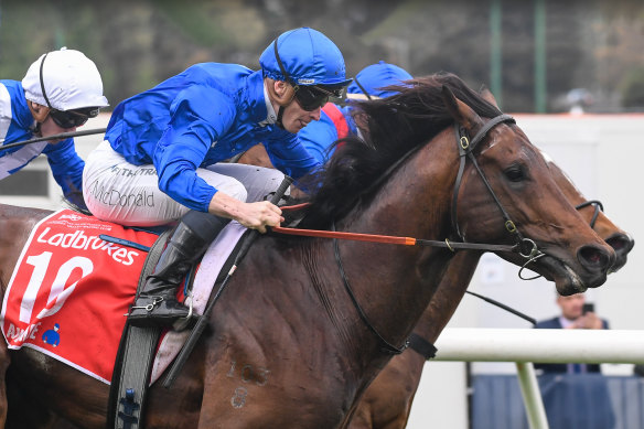 Cox Plate winner Anamoe will look for an eighth group 1 success in the Chipping Norton Stakes at Randwick on Saturday.