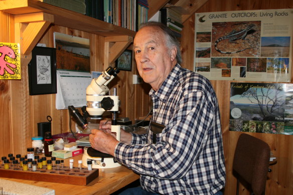 Dr Ian Bayly at work in his private, post-retirement zooplankton laboratory.