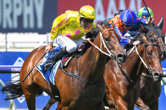Sylvia's Mother takes out the Frances Tressady Stakes at Flemington at her last start.