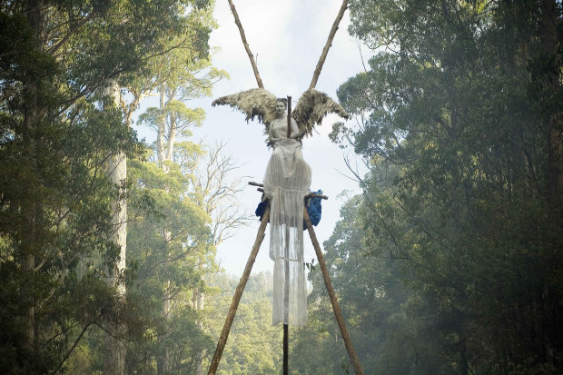 Artist Allana Beltran protesting against the logging of an old-growth forest in southern Tasmania in 2007. “I was ready to sacrifice myself to this cause,” she said. 