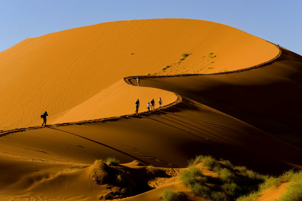Climbing Sossusvlei dune, Naukluft National Park, Namibia.