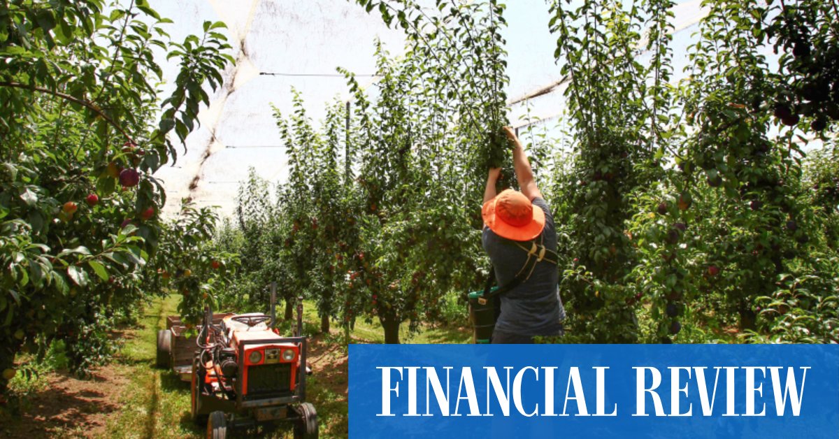 Casino Minimum Age Australia