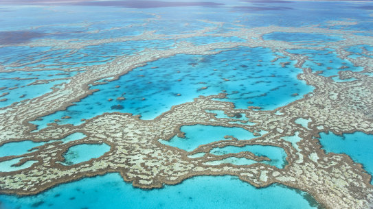 The Great Barrier Reef from the air.