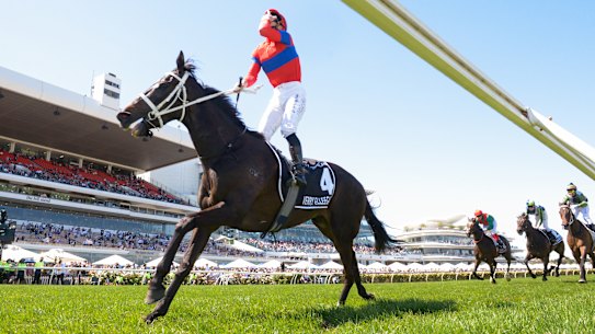That winning feeling: James McDonald aboard Melbourne Cup winner Verry Elleegant.