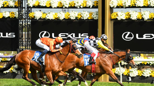 Purple Sector wins on Melbourne Cup day at Flemington.