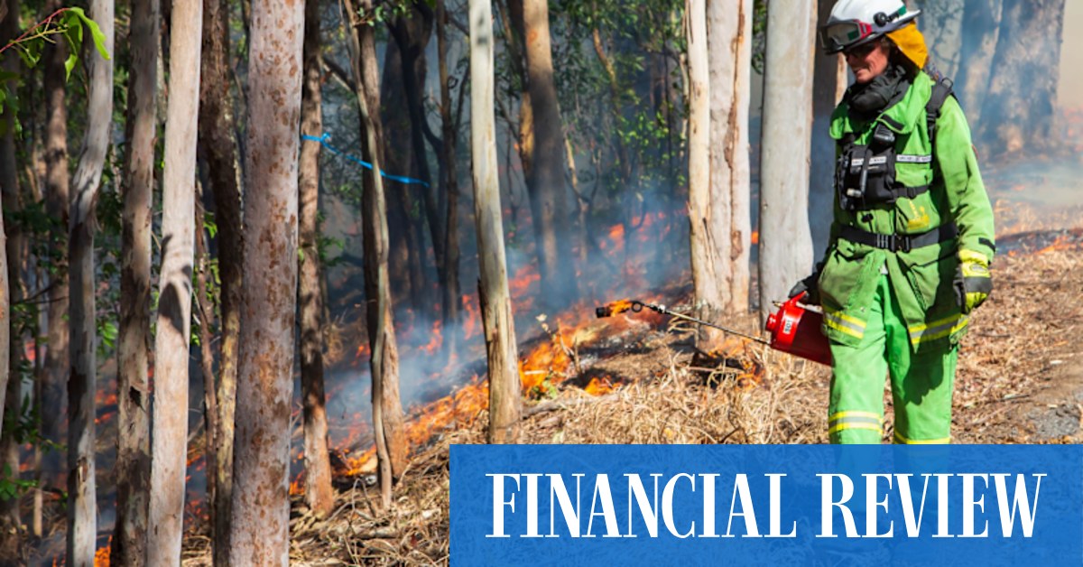 Why KPMG believes El Nino will boost the profits of IAG, Suncorp and QBE - Vimarsana News
