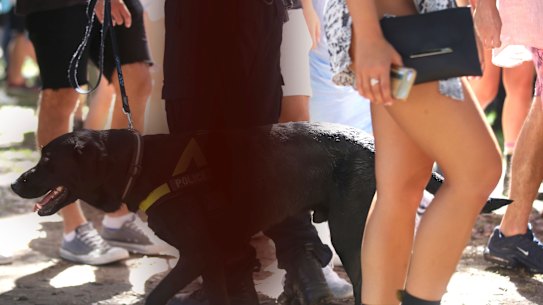 The Australian Festivals Association says it's time state and territory governments adopt pill testing.