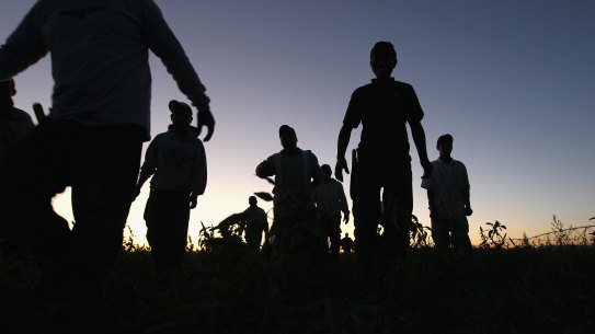 Limiting labour trafficking is a constant challenge for all immigration authorities.