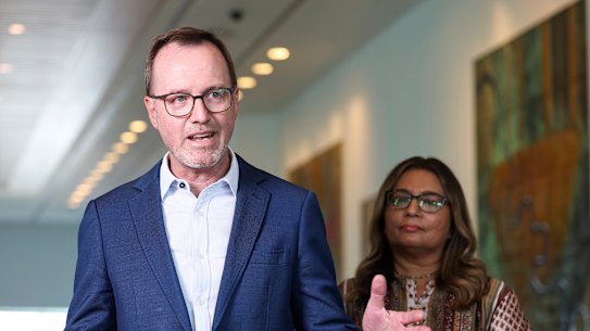 Greens senators David Shoebridge and Mehreen Faruqi criticised a move to give the home affairs minister stronger powers to reject or cancel visa applications.