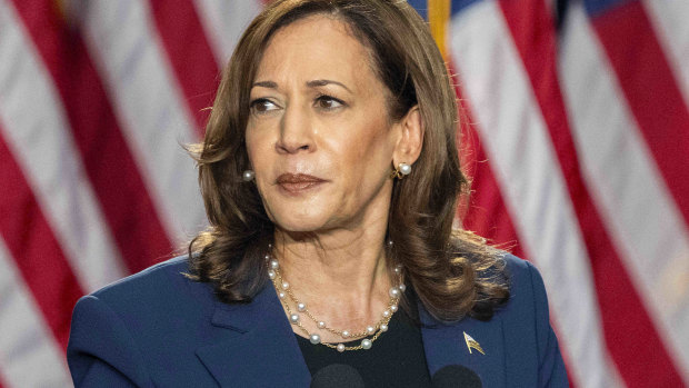 So Kamala is the ‘childless cat lady’? White male power plays its hateful gender card