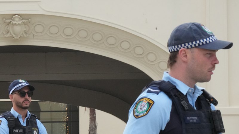 I’m a former cop. The Bondi police actions were entirely correct
