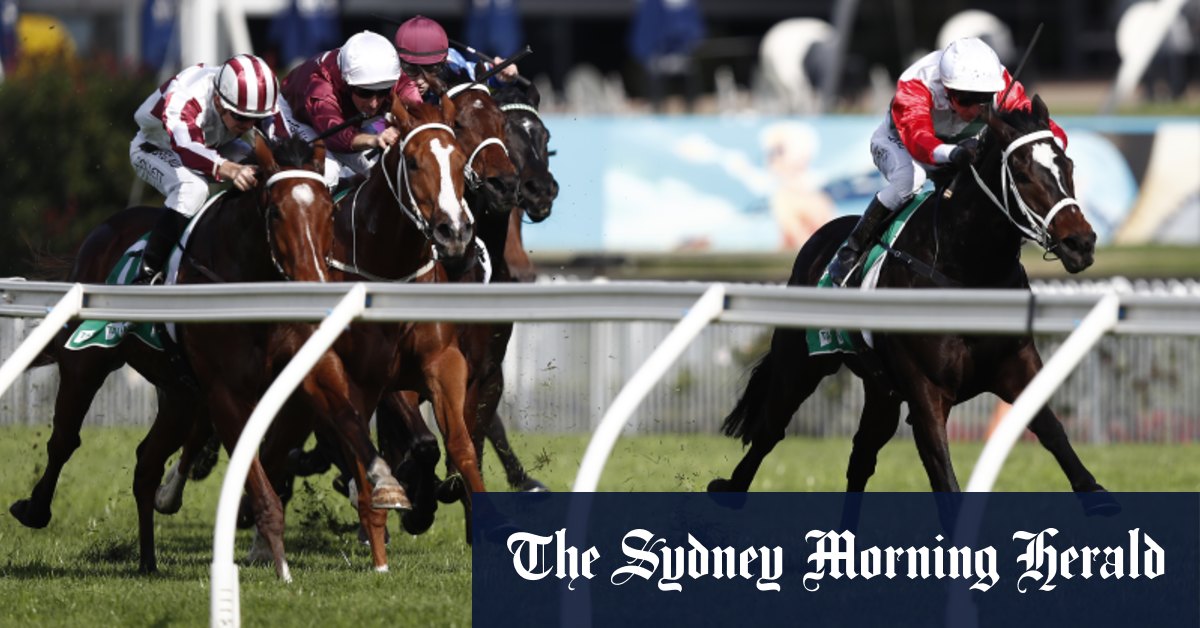 Race-by-race preview and tips for Nowra on Sunday