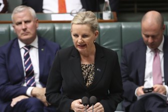 Minister for the Environment Sussan Ley was sued by children arguing she had a duty of care to them. 
