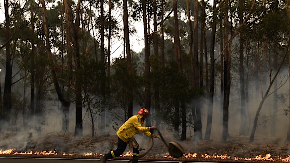 The RFS work to contain a small fire south of Sydney this week.