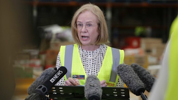 Queensland Chief Health Officer Jeannette Young at the COVID-19 press conference.