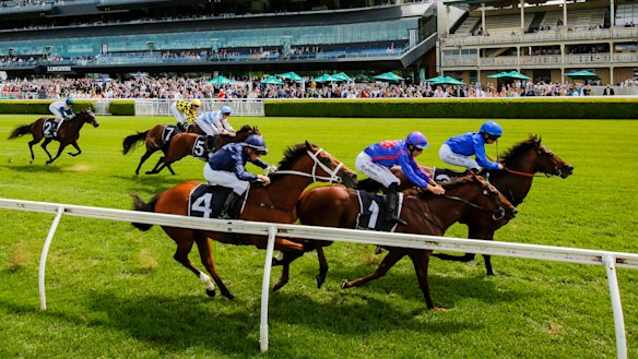 Profiteer was just edged out by Anamoe in the Todman Stakes.