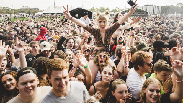 Last year's Groovin the Moo in Canberra was the first music festival in Australia where legal pill-testing was conducted.