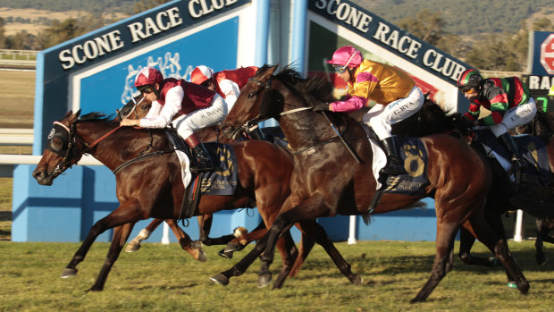 Eight races will be held at Scone today.
